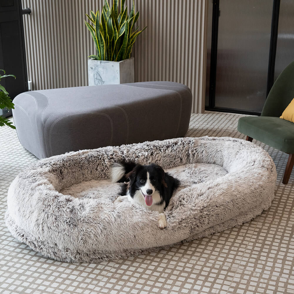 Lyxig superstor Sleep Deeper oval säng för människor och hundar