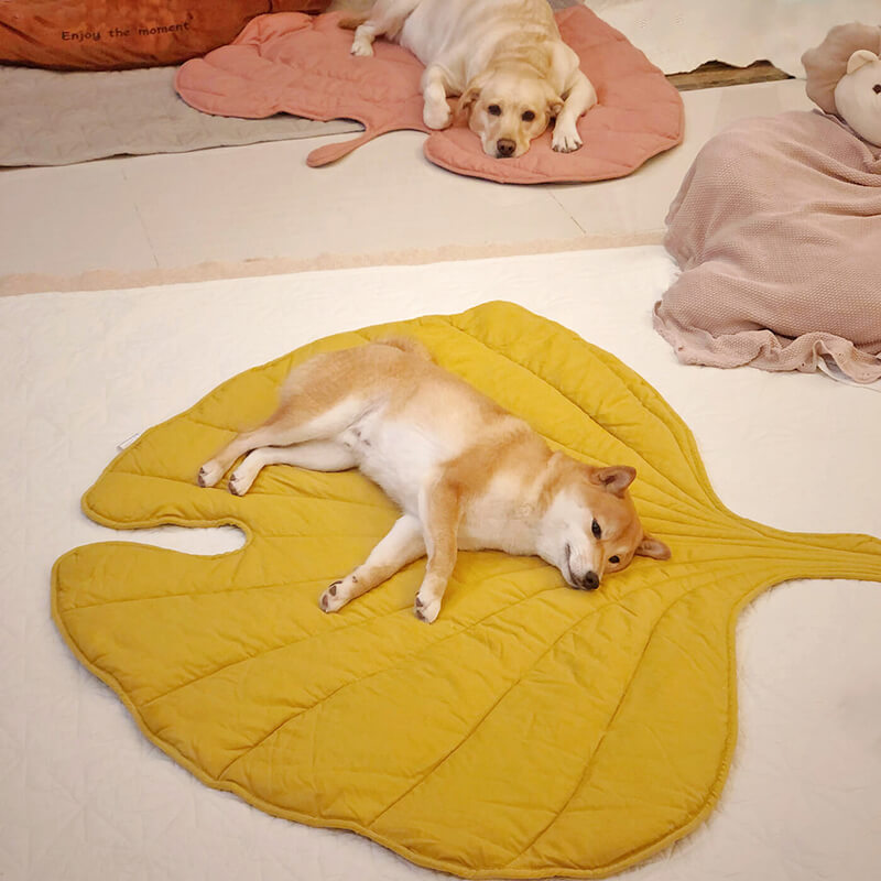 Lövformad hundfilt