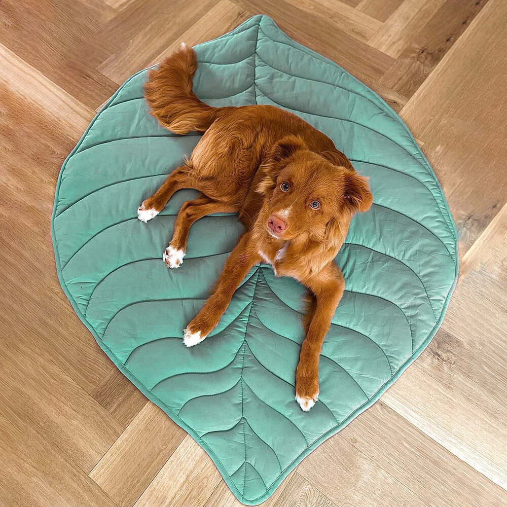 Lövformad hundfilt